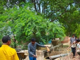 दो कुंतल प्रतिबंधित थाई मांगुर मछली को प्रसासन ने कराया नष्ट